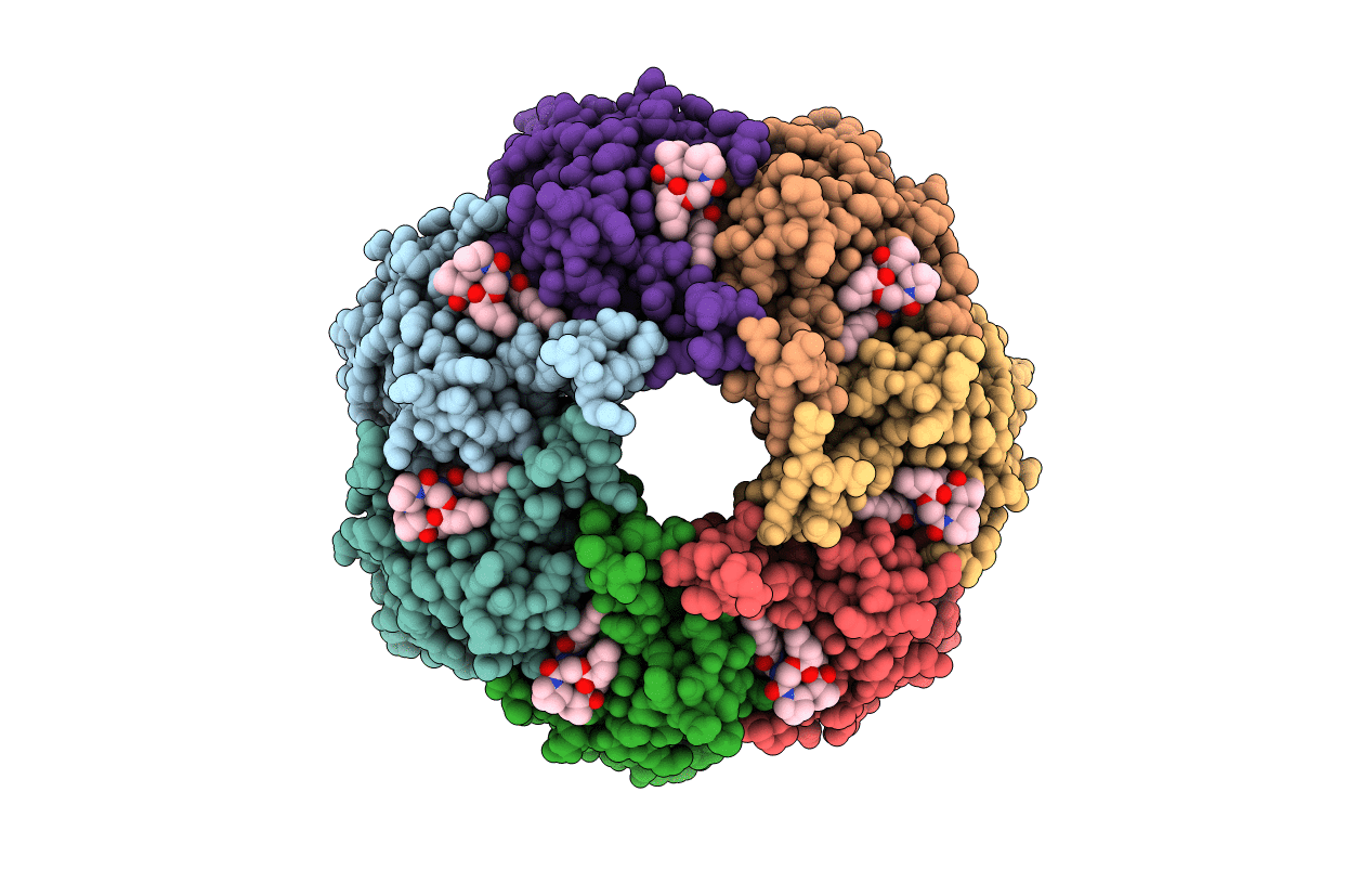 6TTZ image