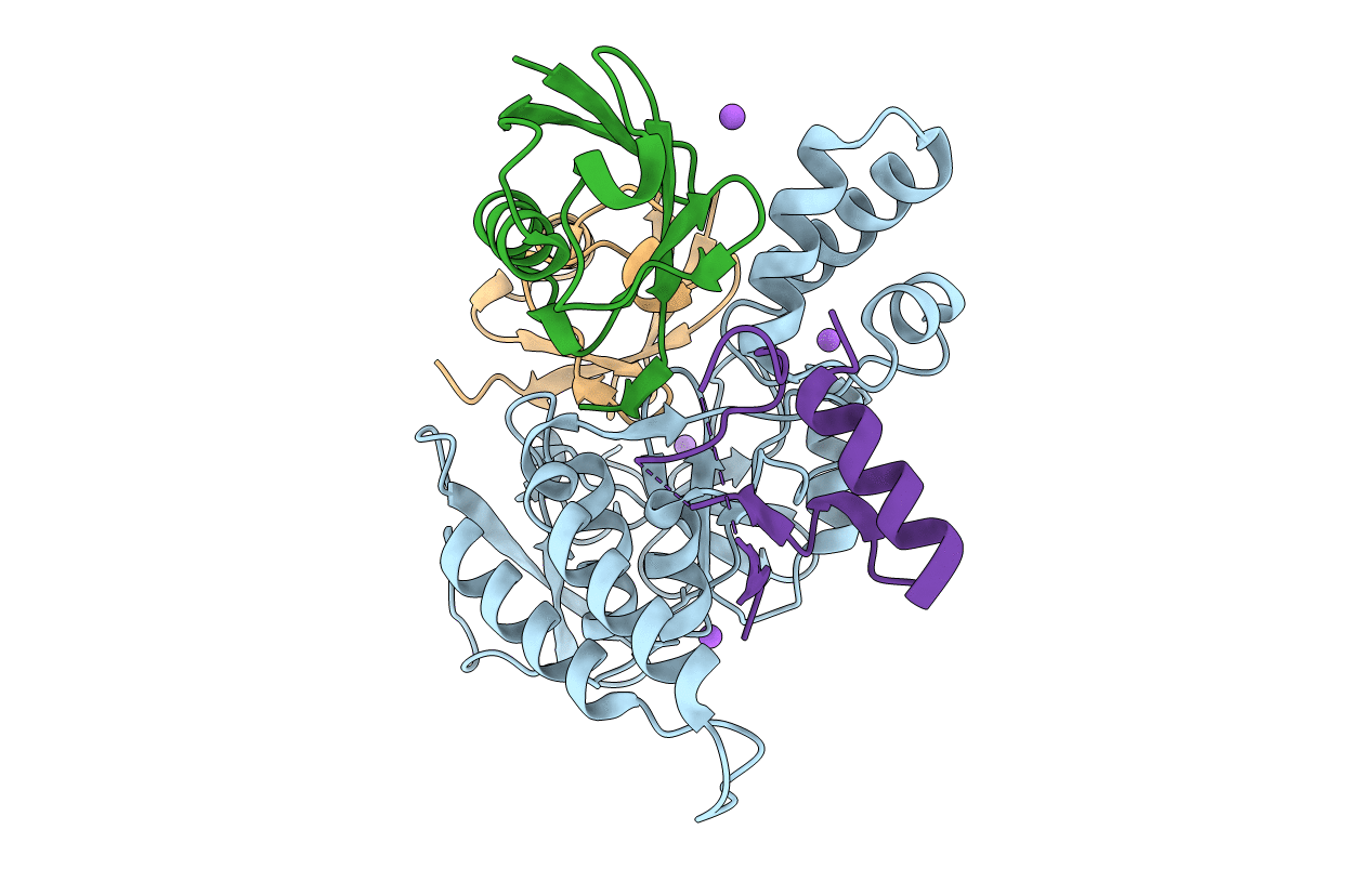 6TXB image