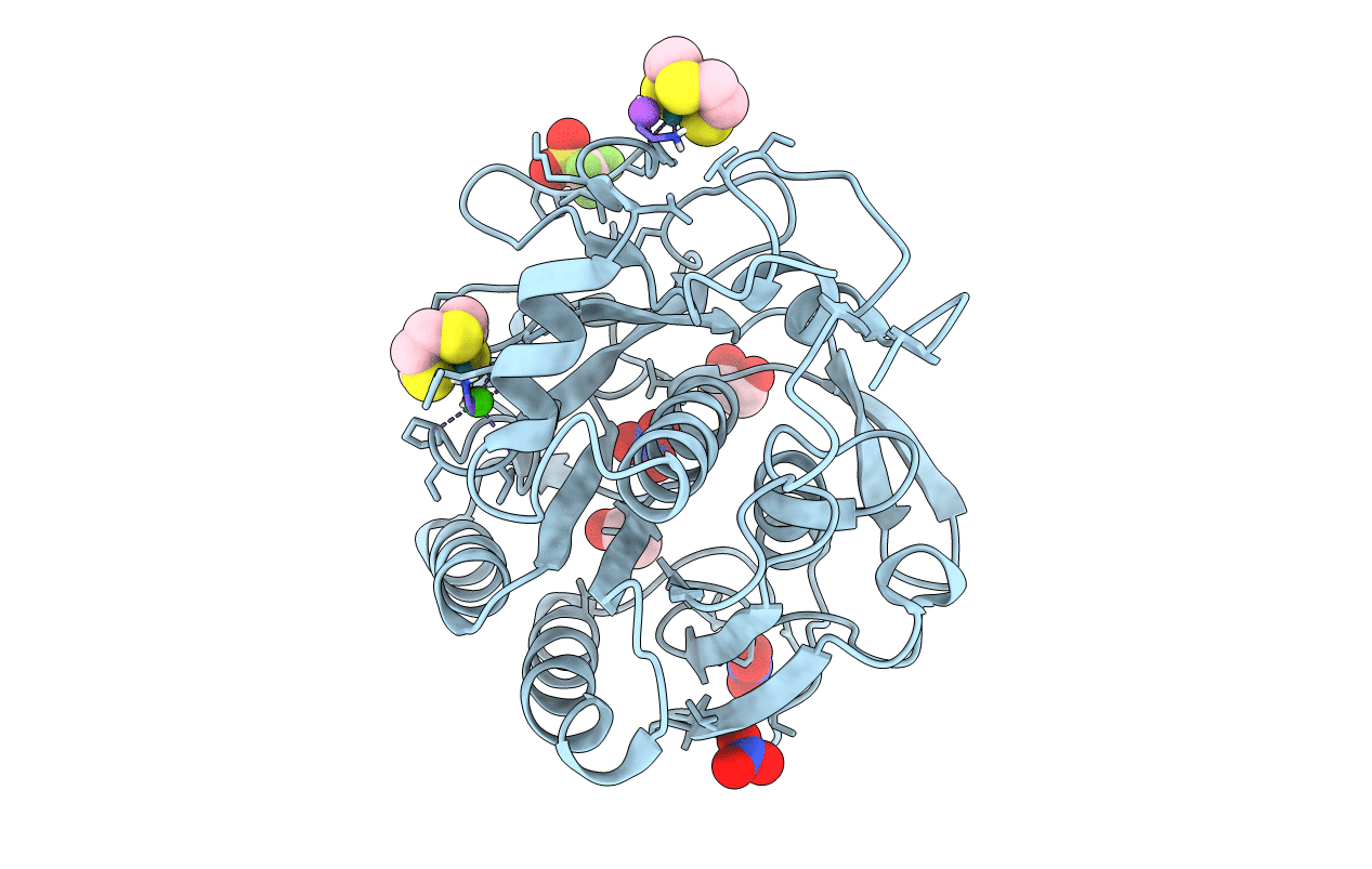 6TXG image