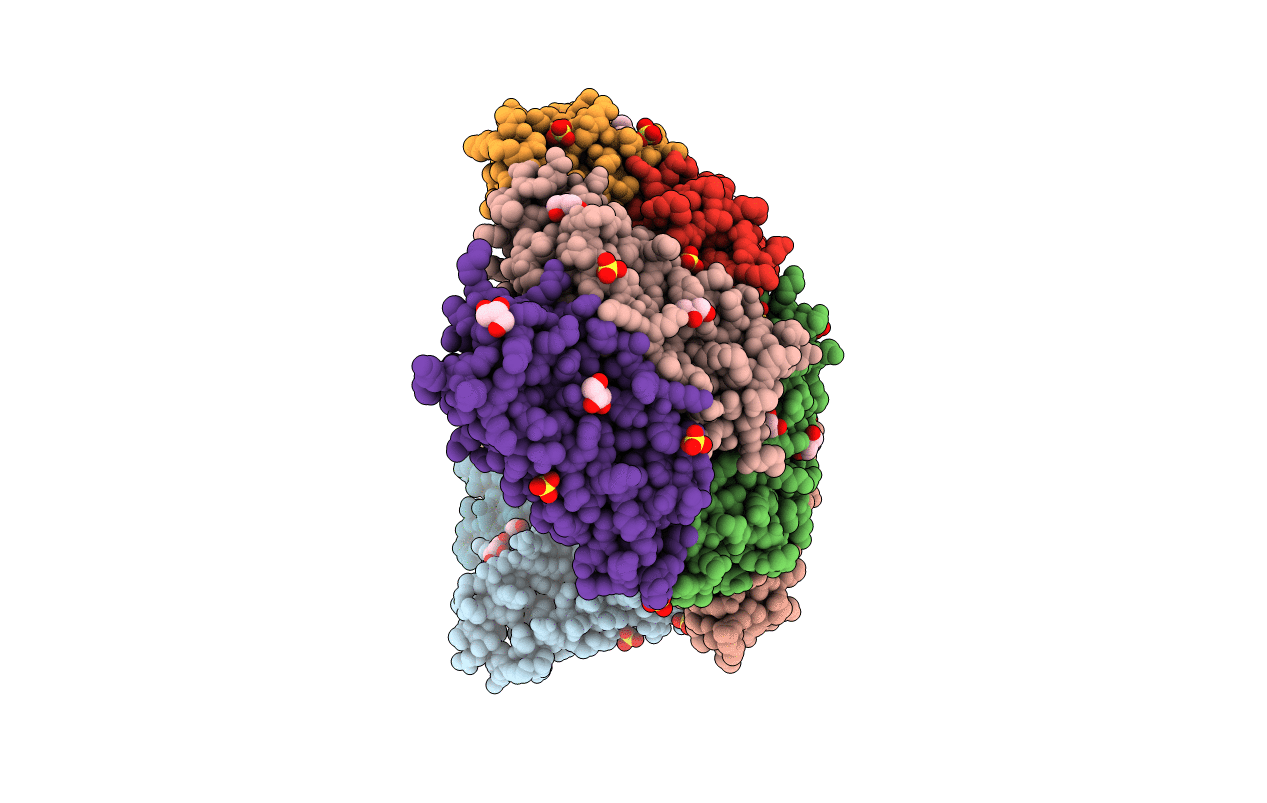 6TXL image