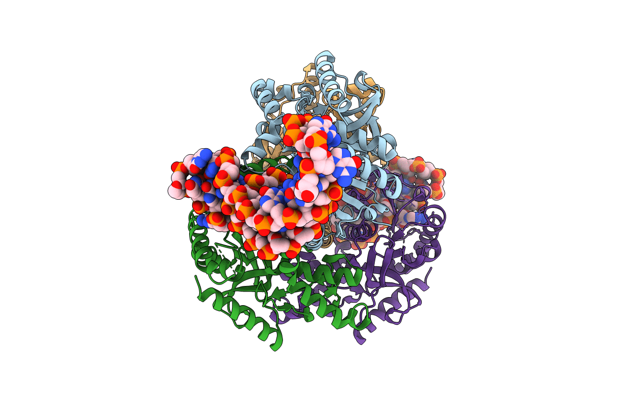 6TXR image