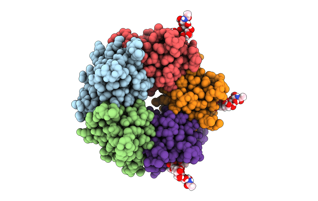 6TYQ image