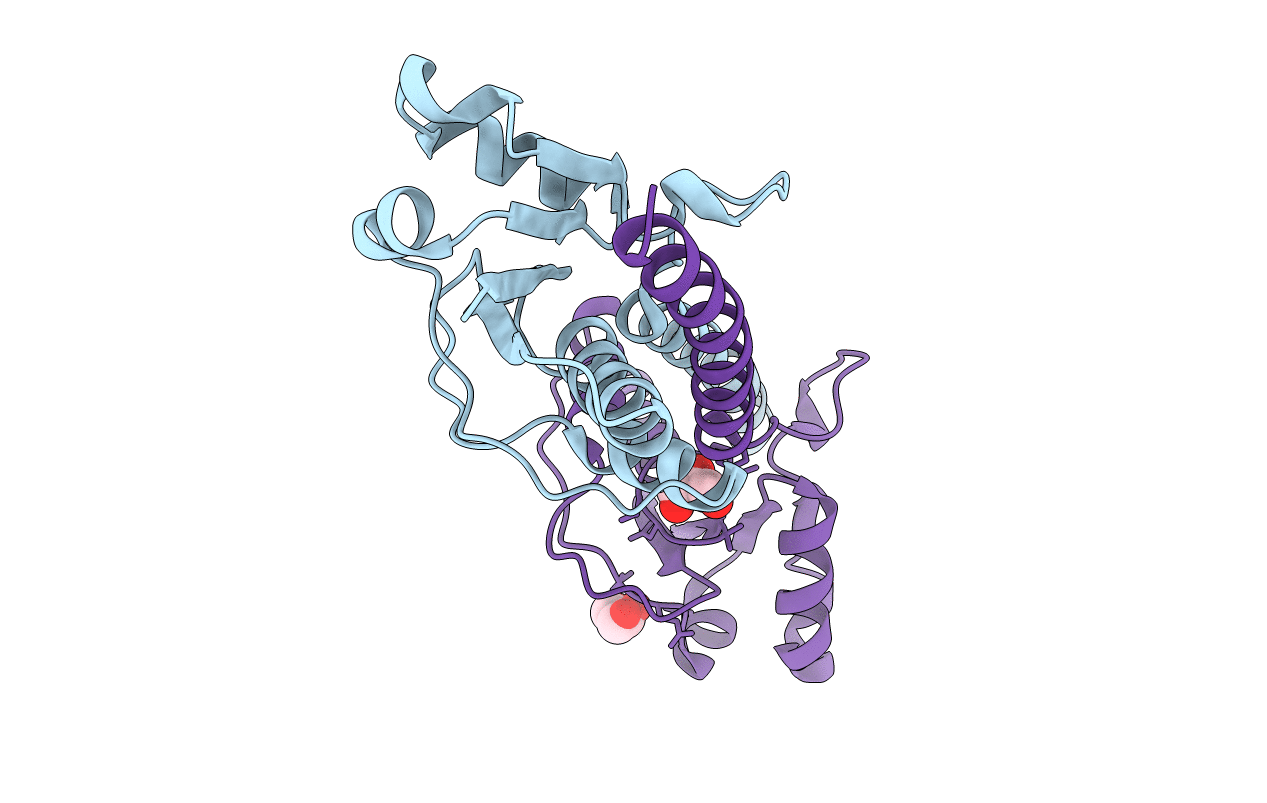 6U1P image