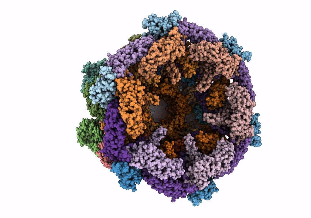6U5B image