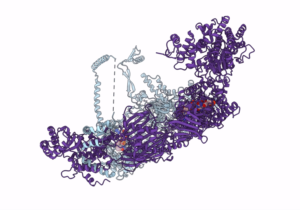 6U5W image