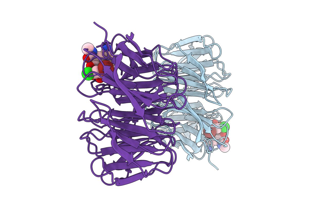 6U5Y image