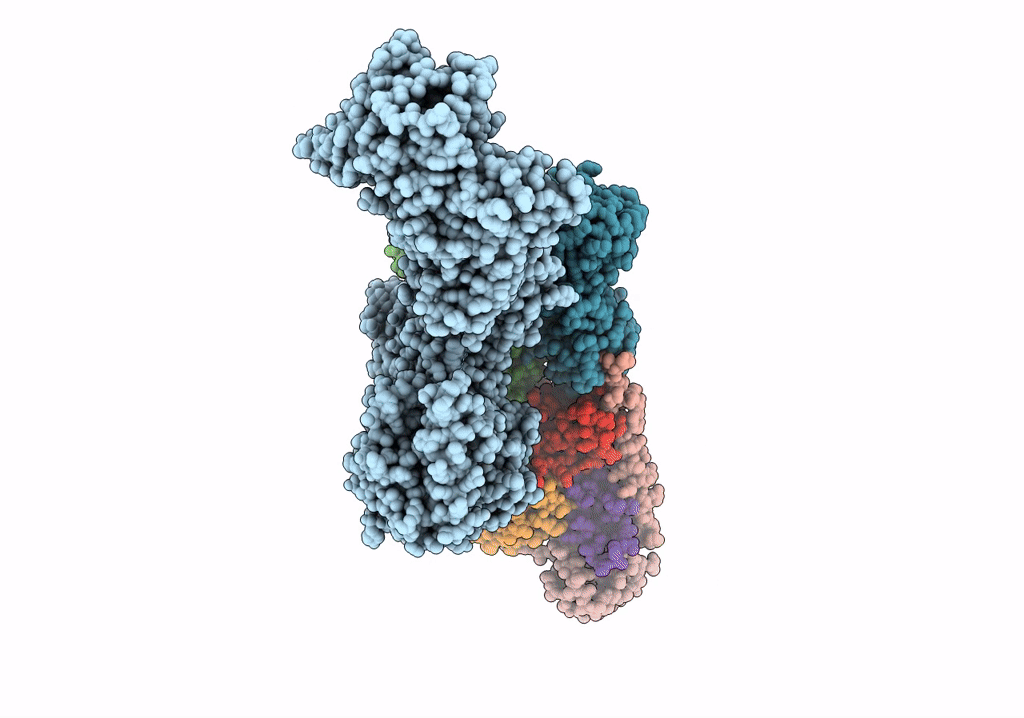 6U62 image