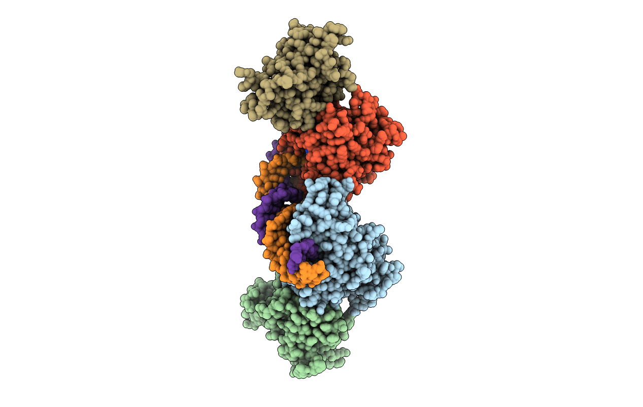 6U8X image