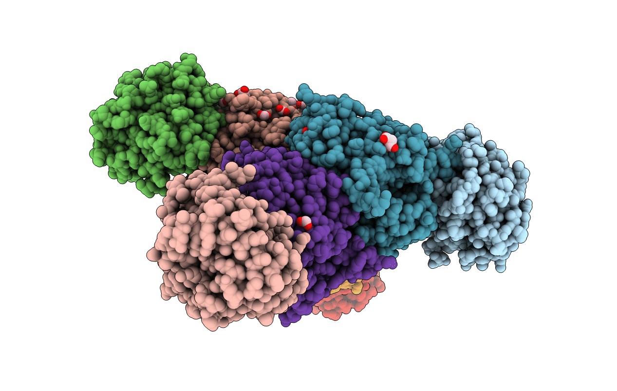 6UAP image