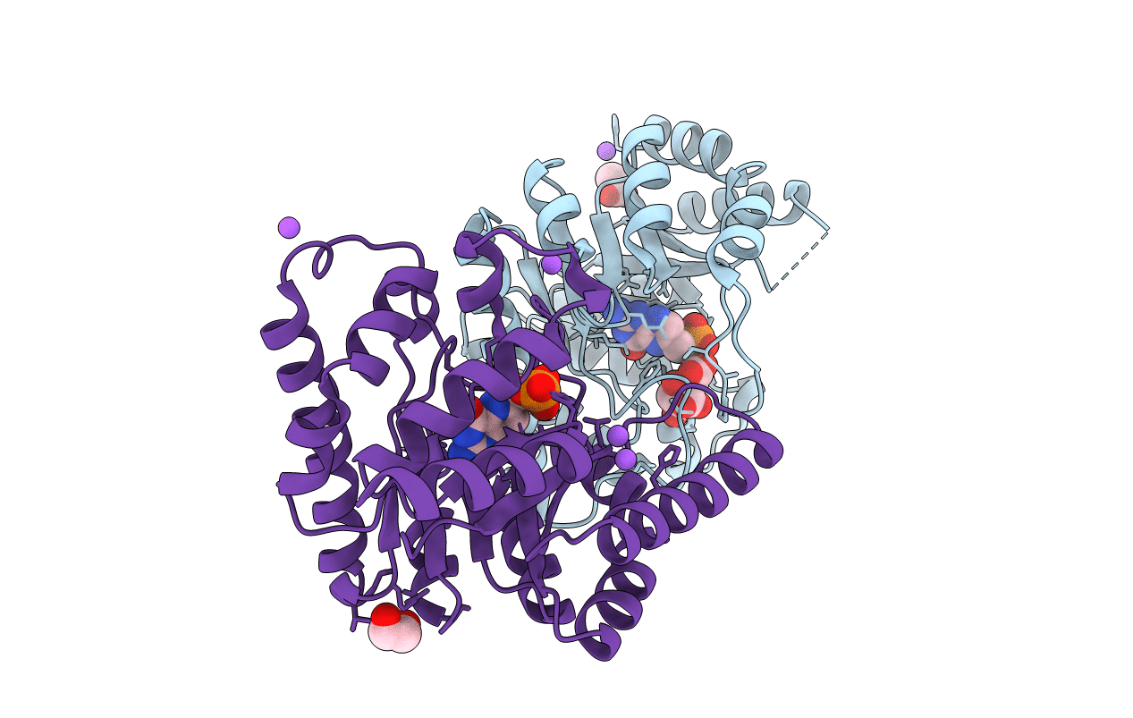 6UCZ image
