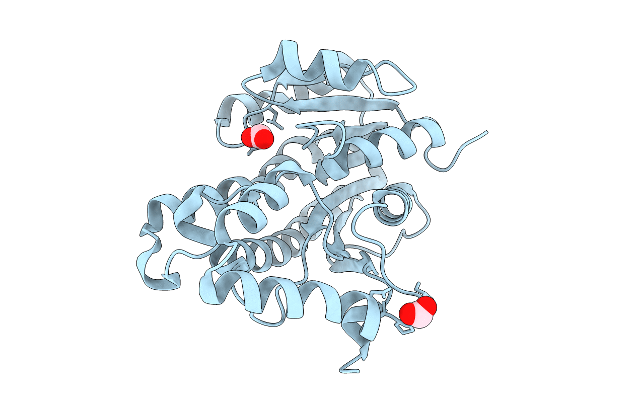 6UDF image