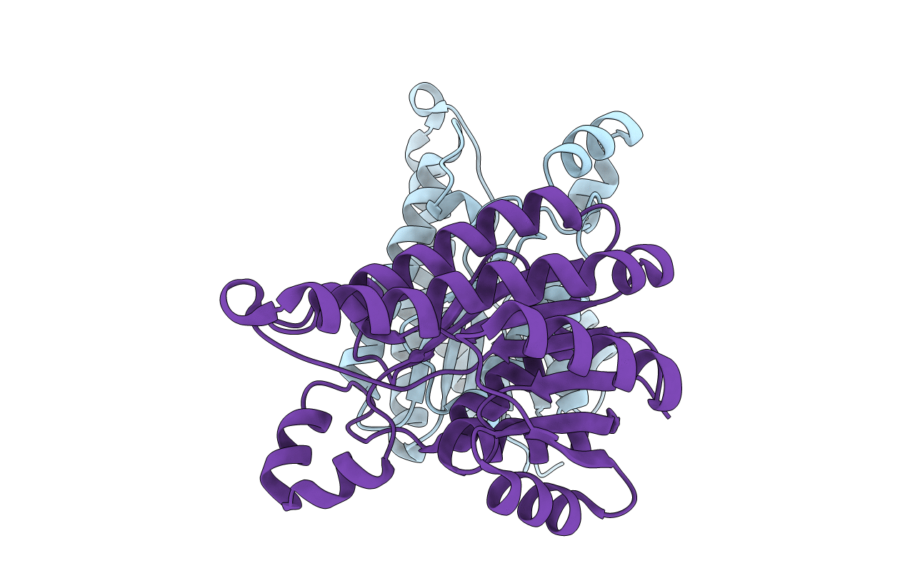 6UDS image