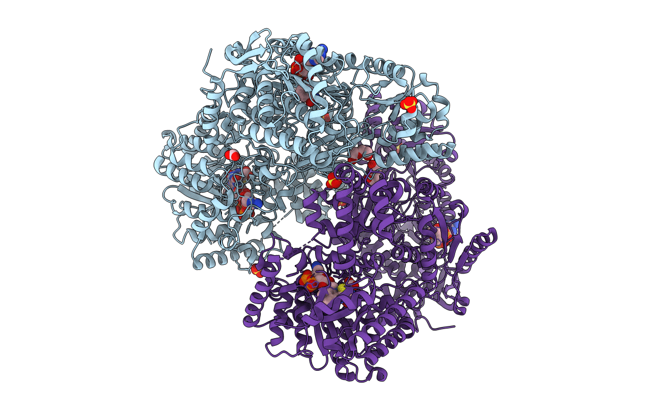 6UFP image