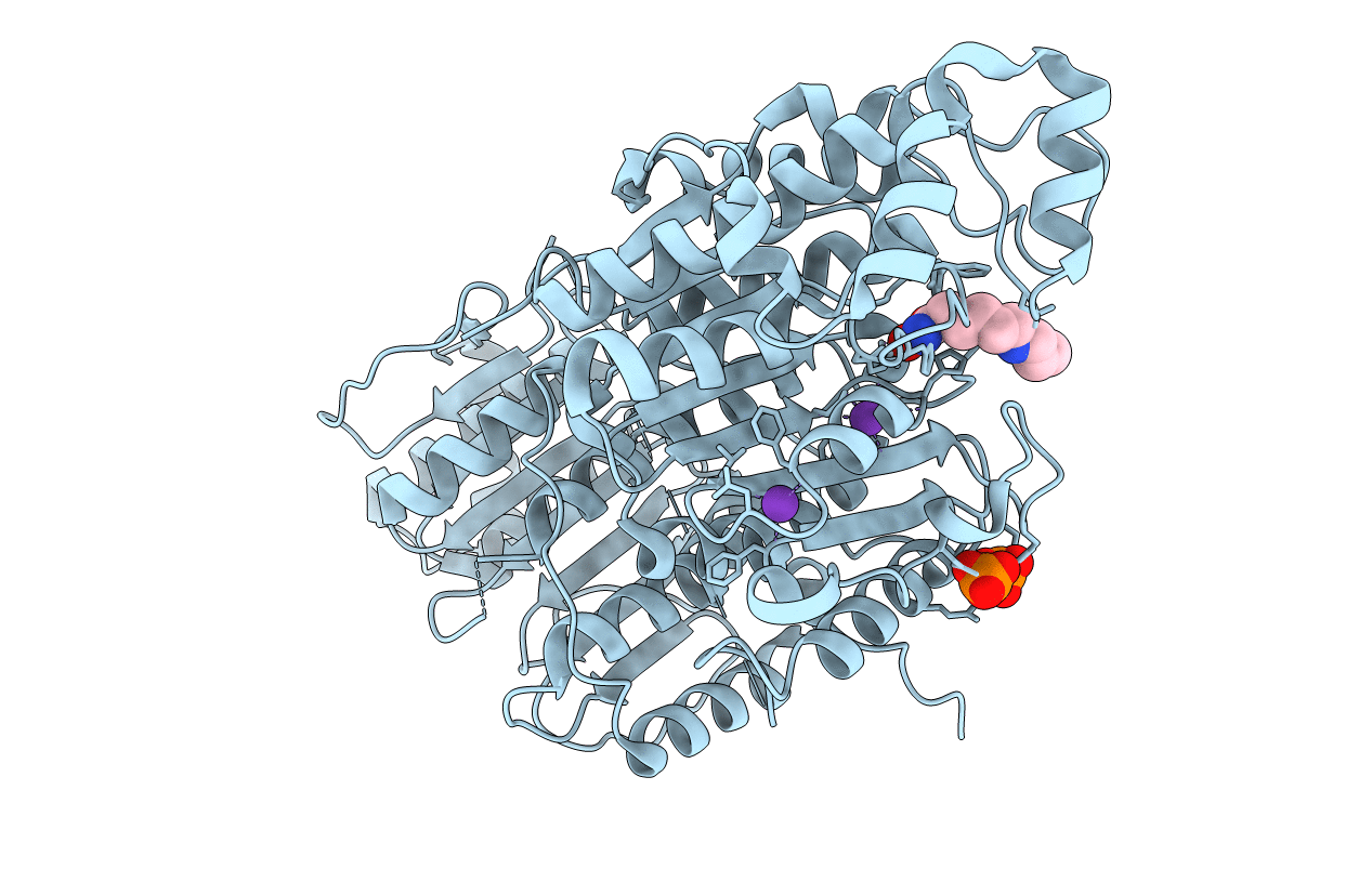 6UHV image