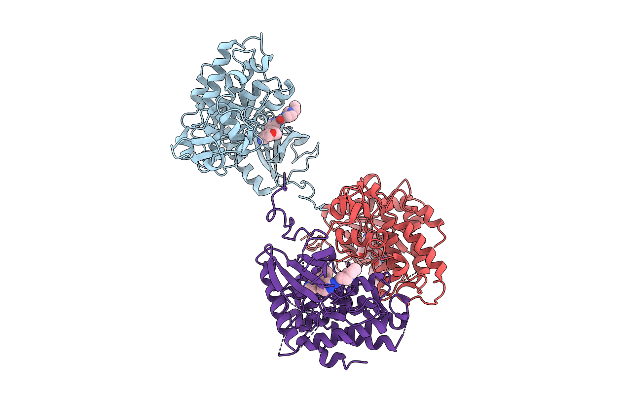 6UIP image
