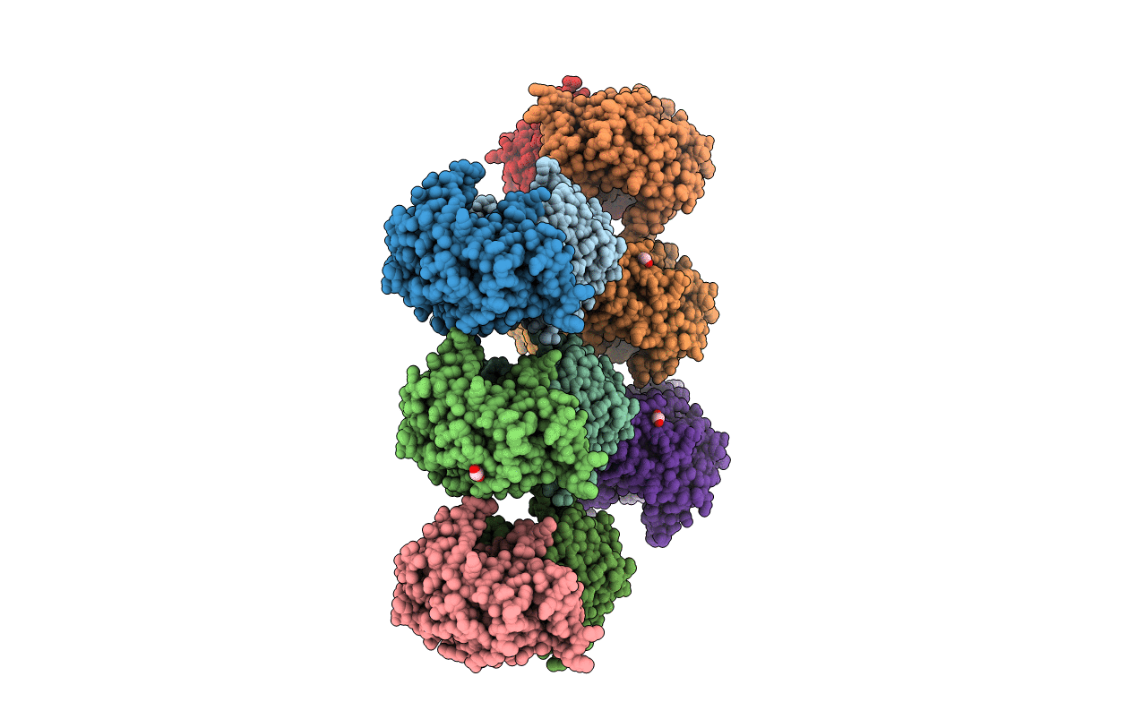 6UM4 image