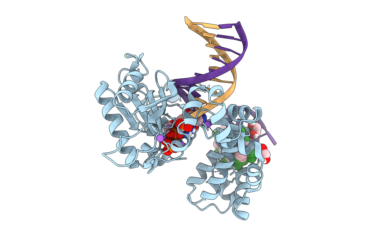 6UOM image