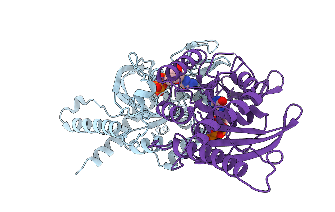 6UPQ image