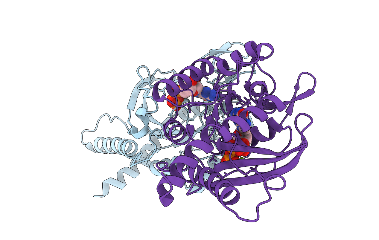 6UPR image