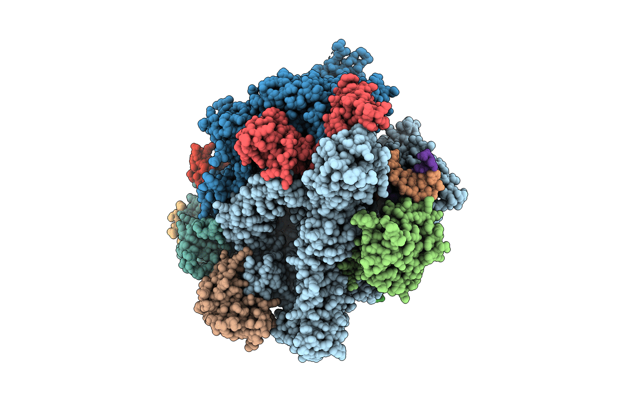 6UPX image