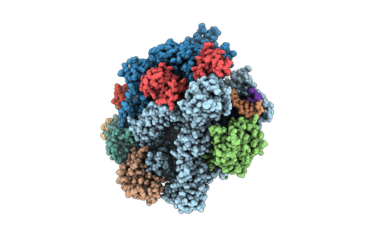 6UQ1 image