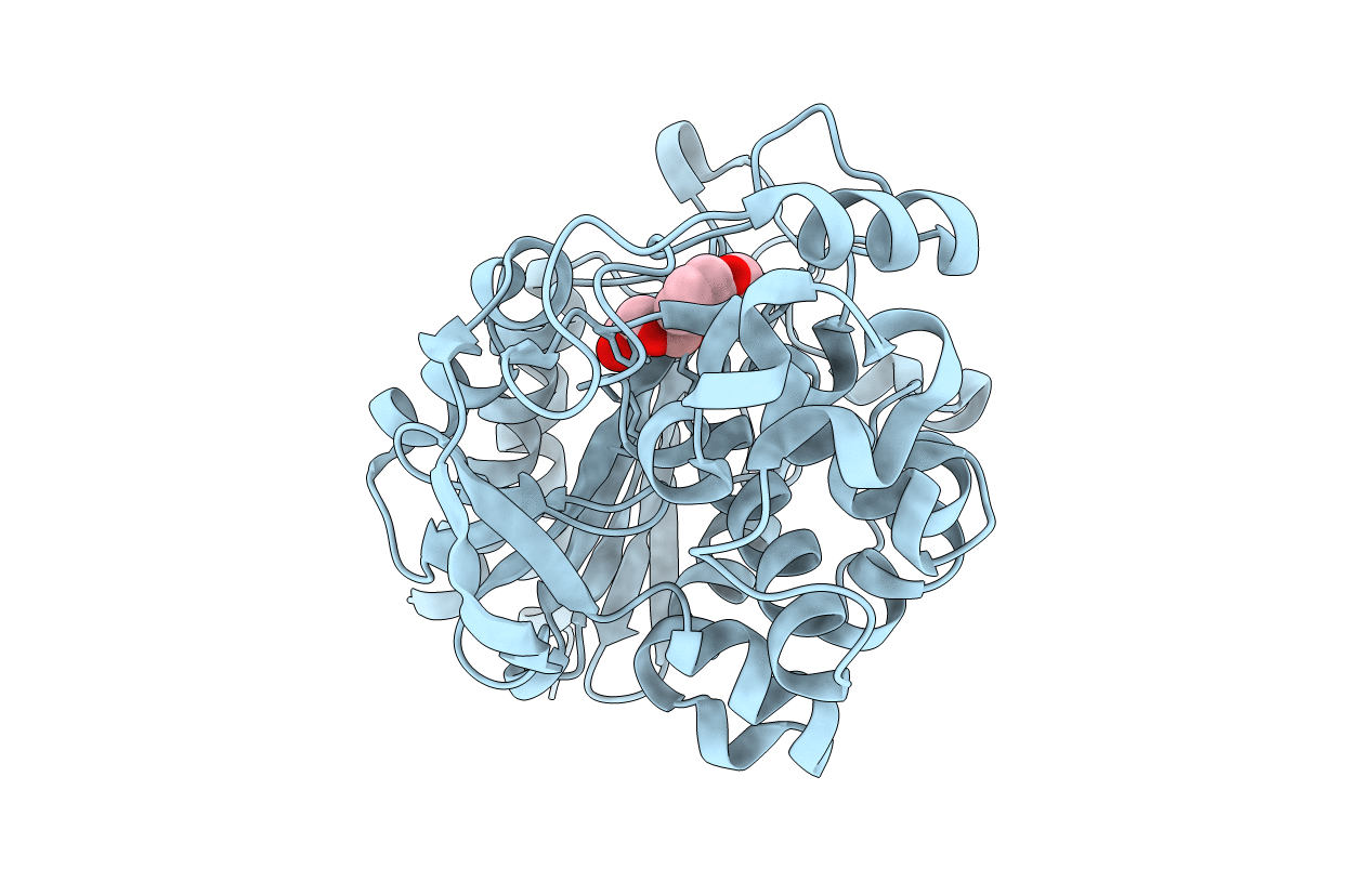 6UQT image