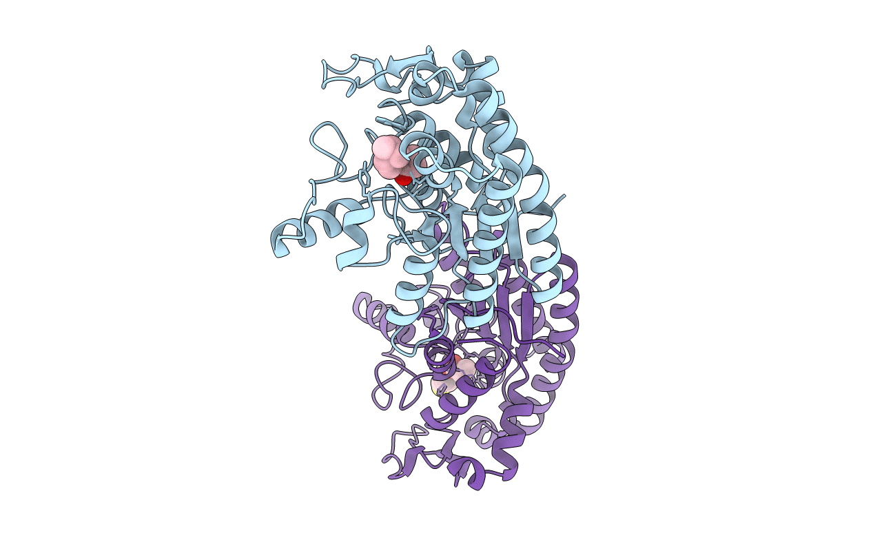 6UQX image