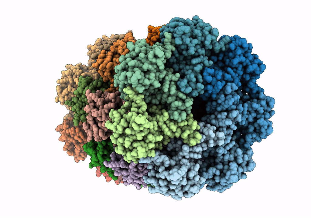 6UTI image