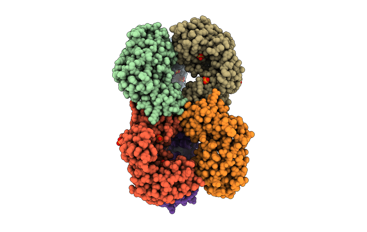 6UTP image