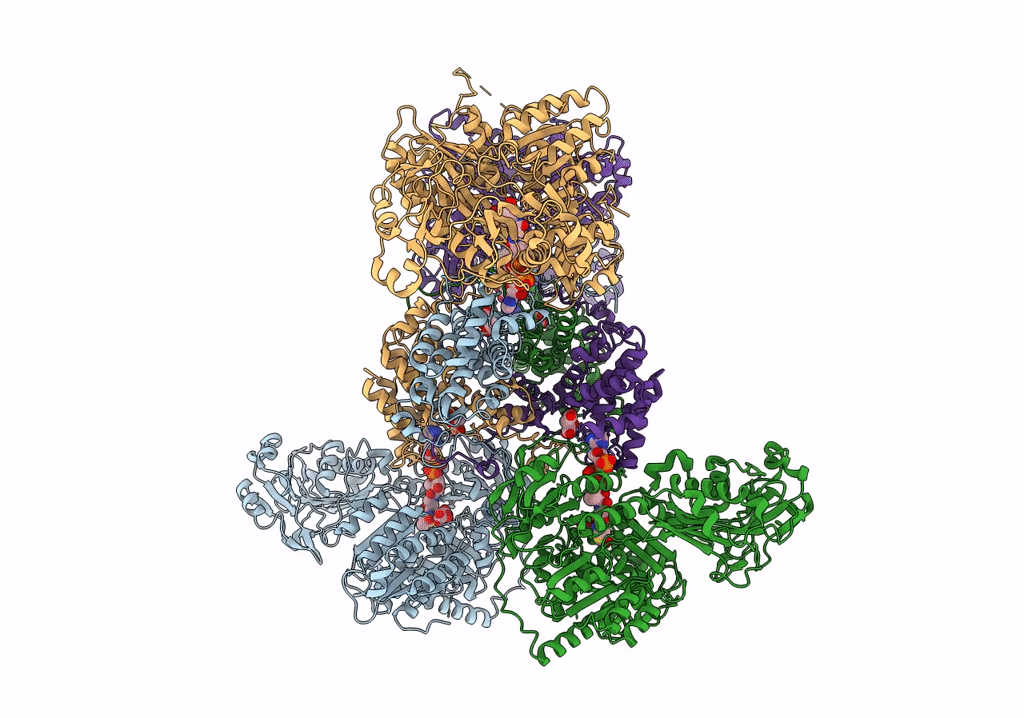6UV5 image