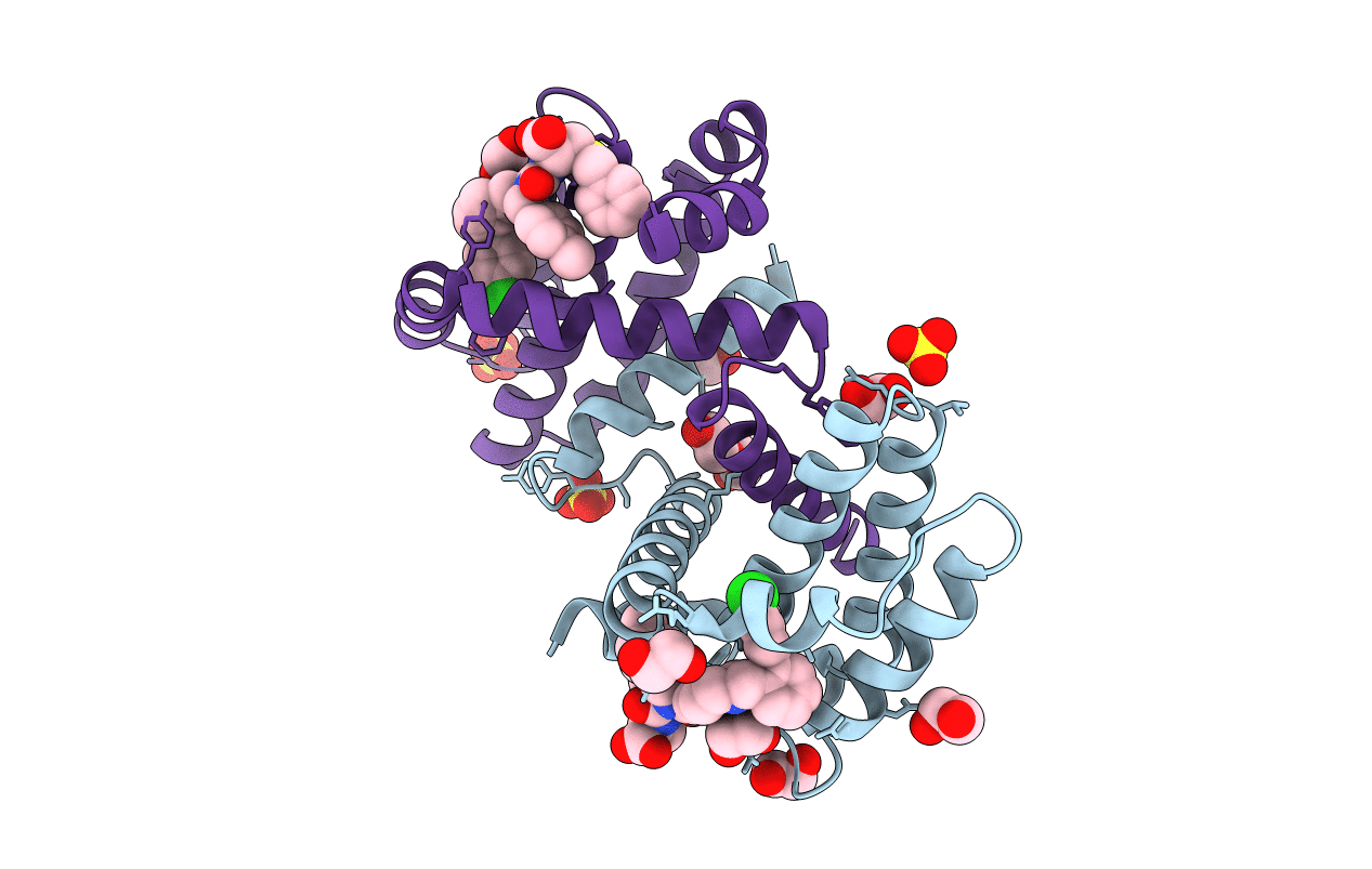 6UVC image