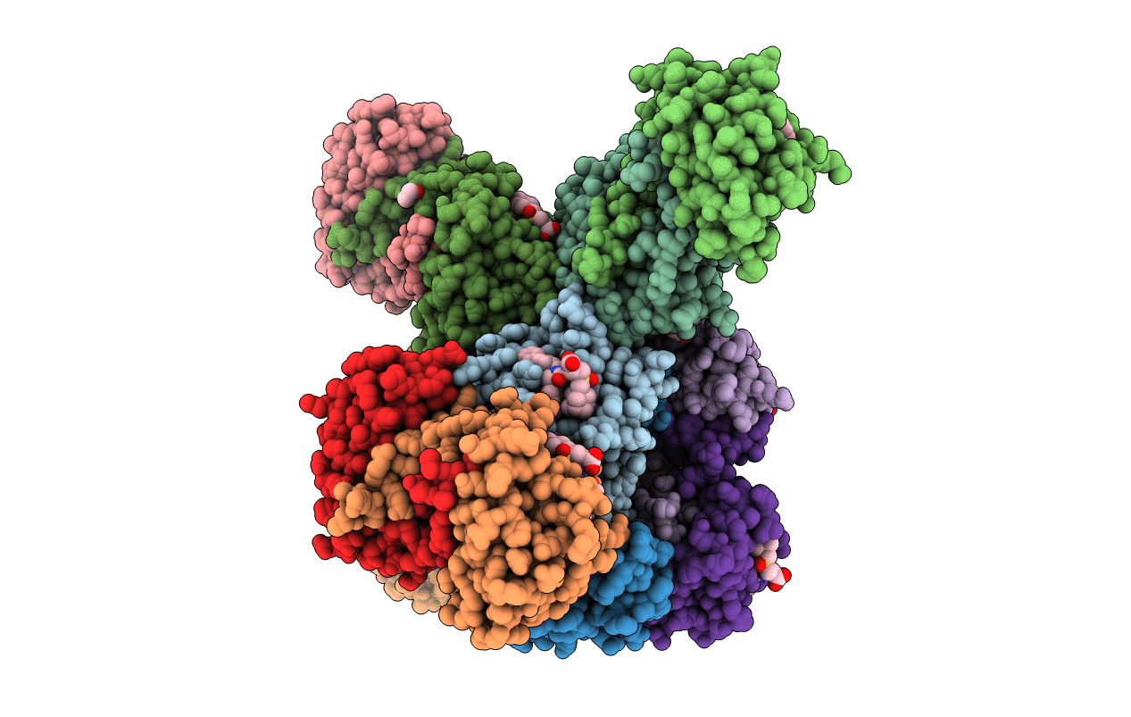 6UVG image