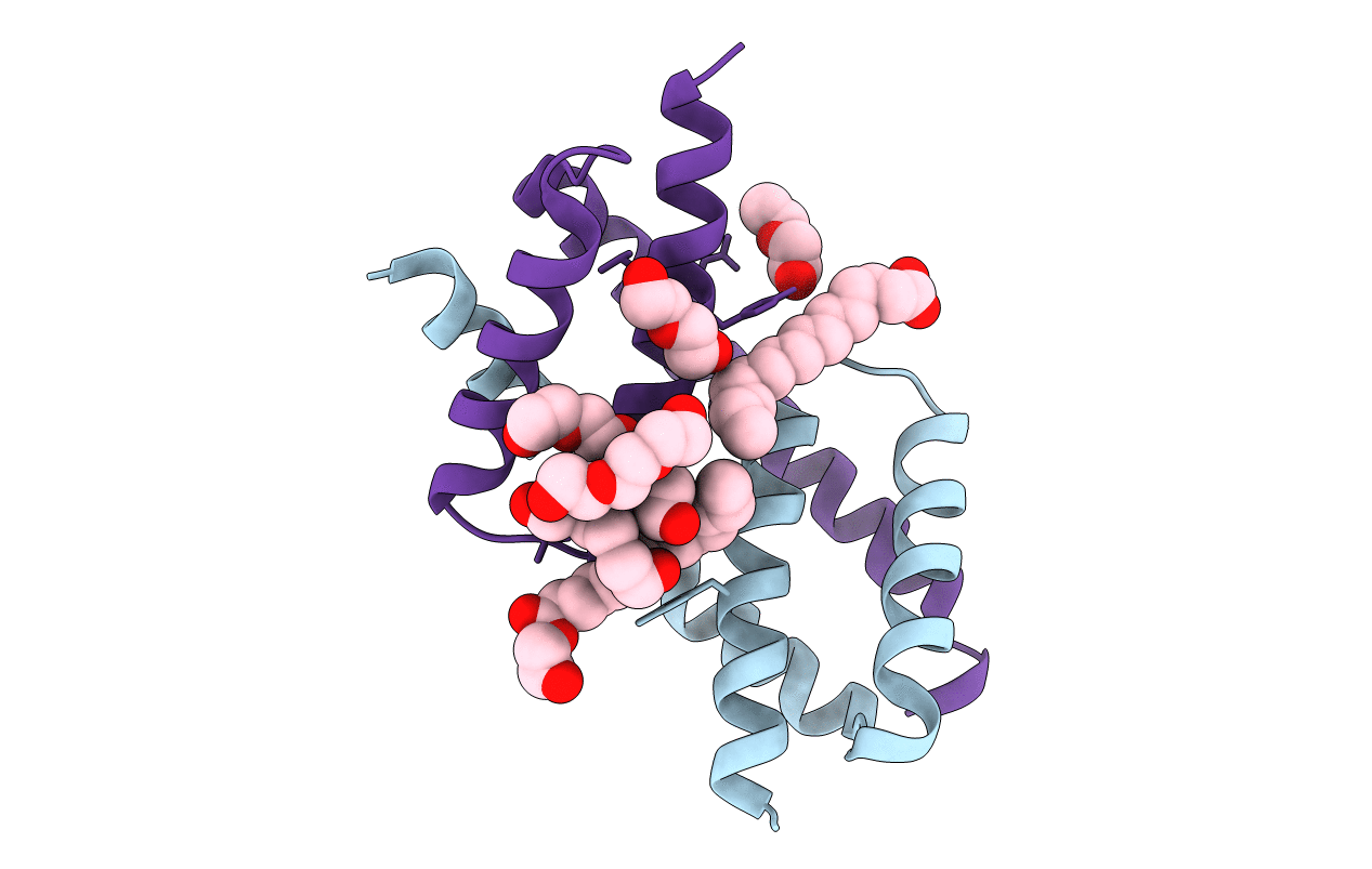 6UXR image