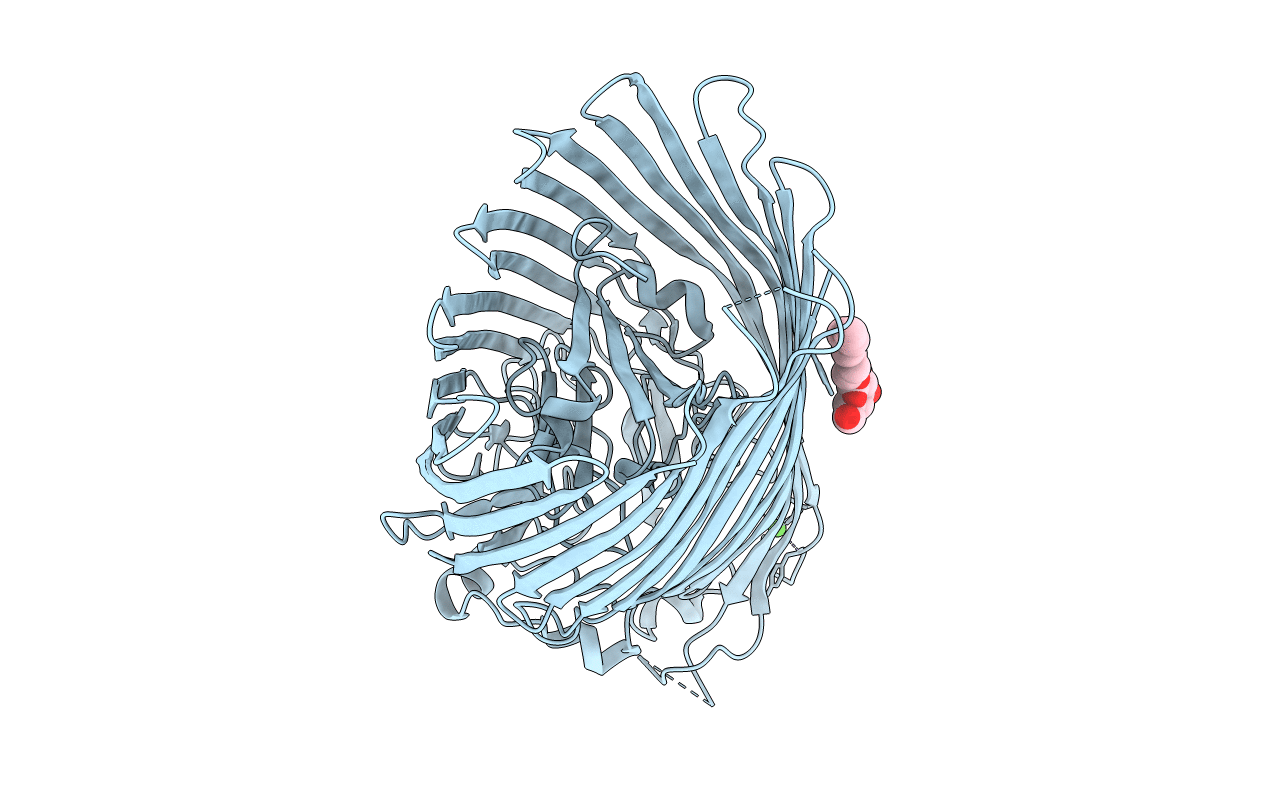6V81 image