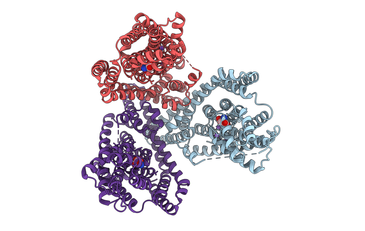 6V8G image