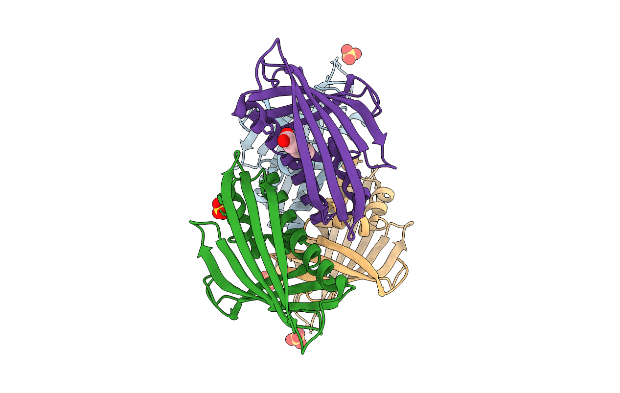 6V8L image