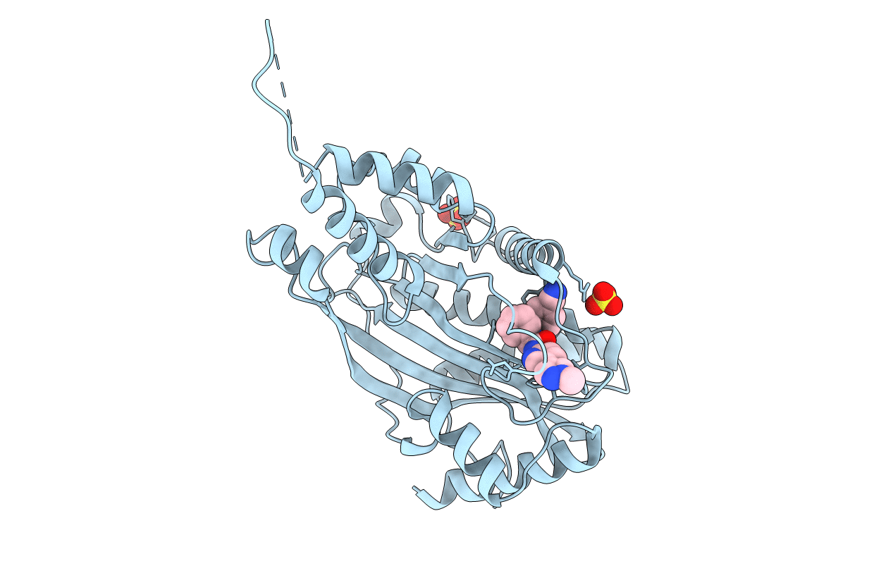 6V8N image