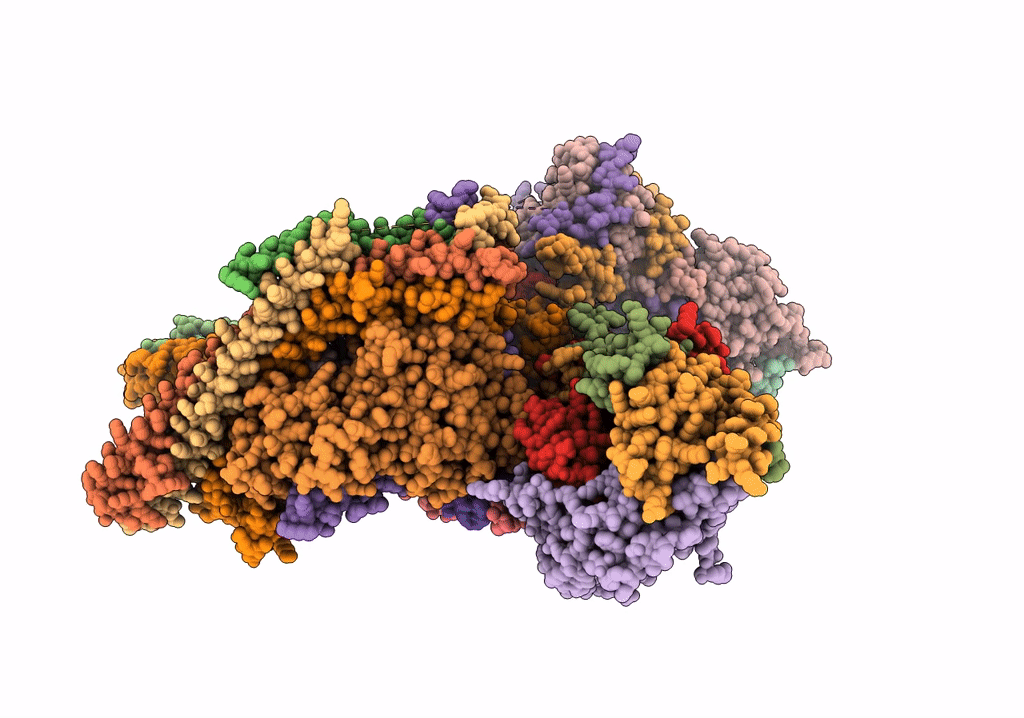 6V8O image