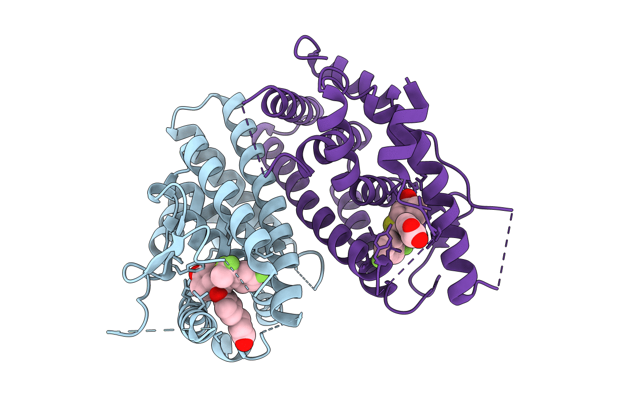 6V8T image