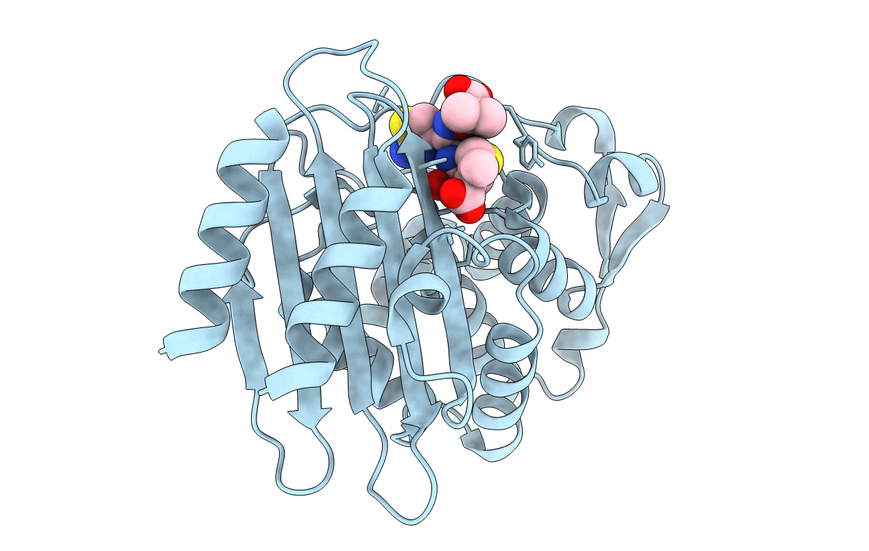 6V8V image