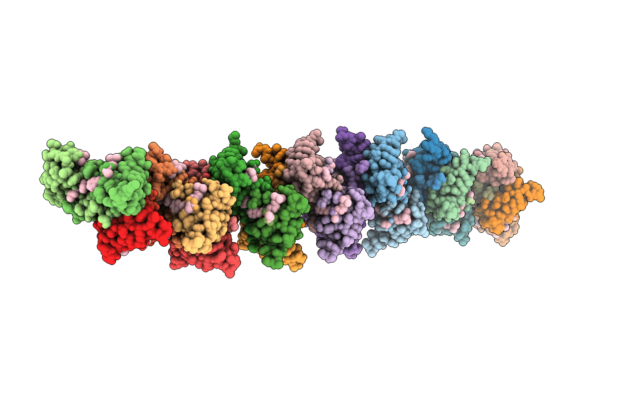 6V8W image