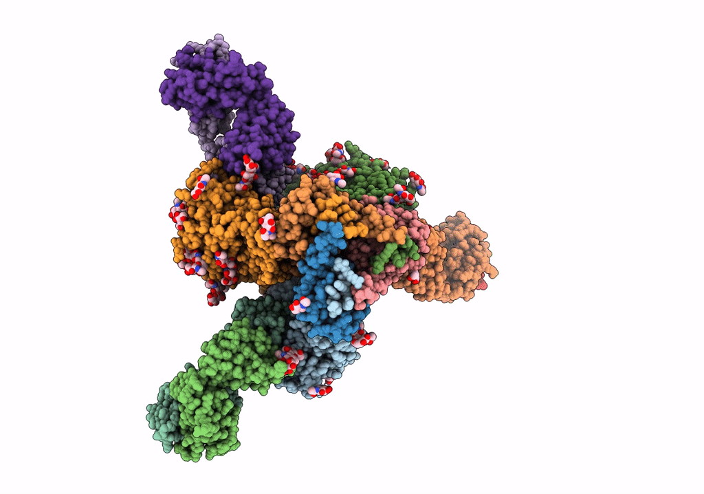 6V8X image