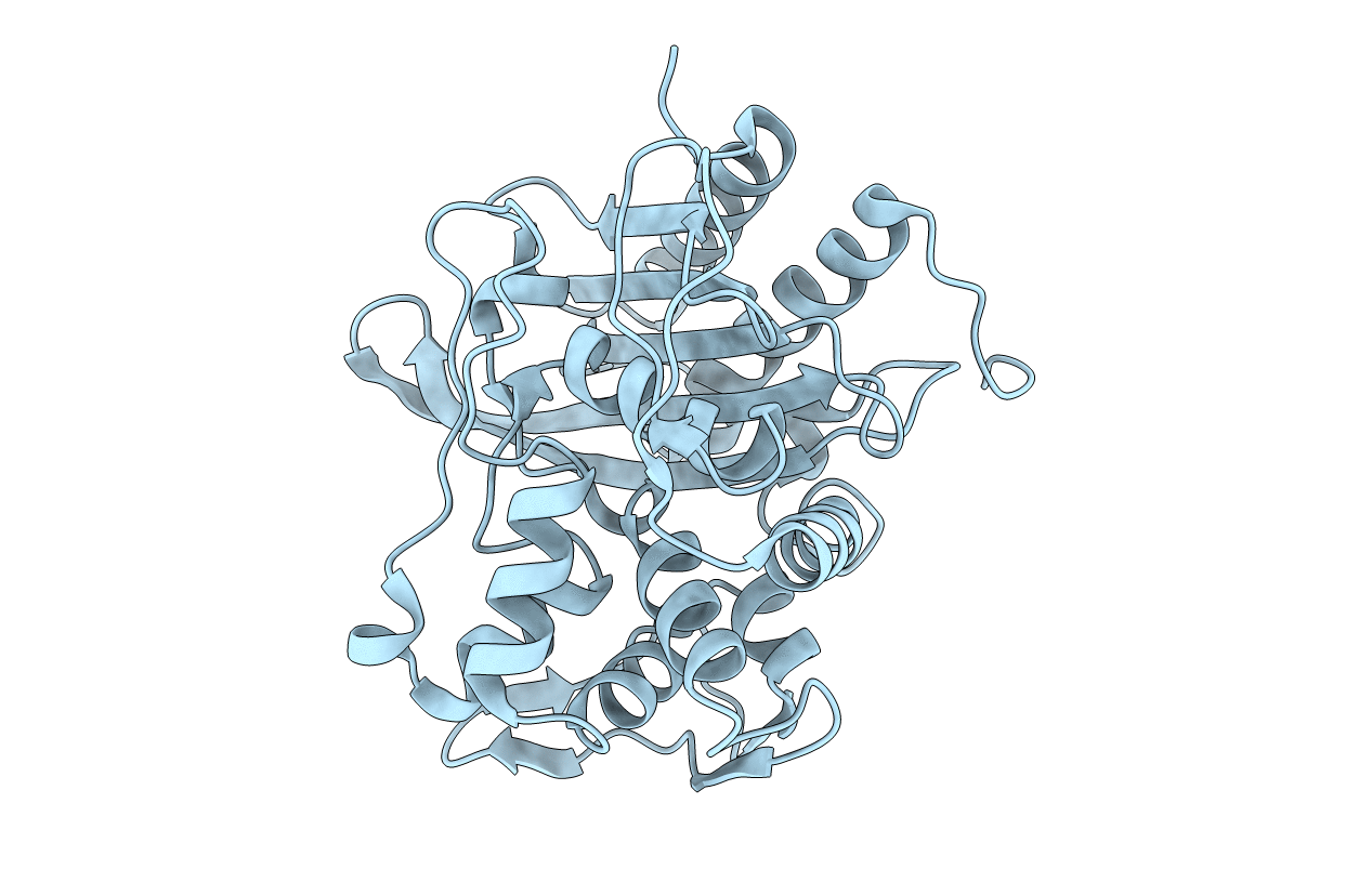 6VBL image