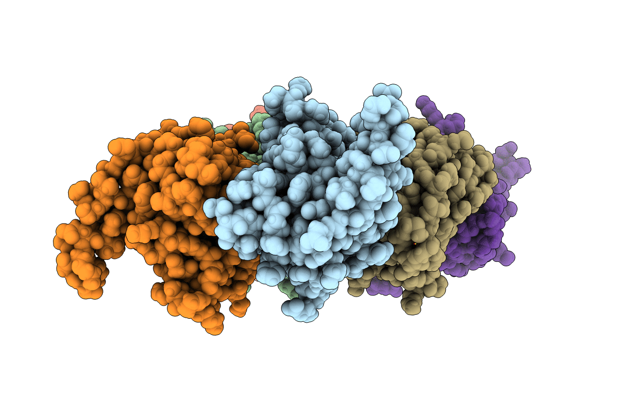 6VBS image