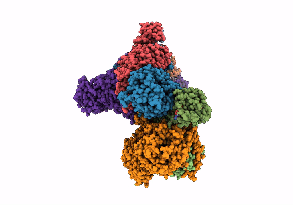 6VBV image