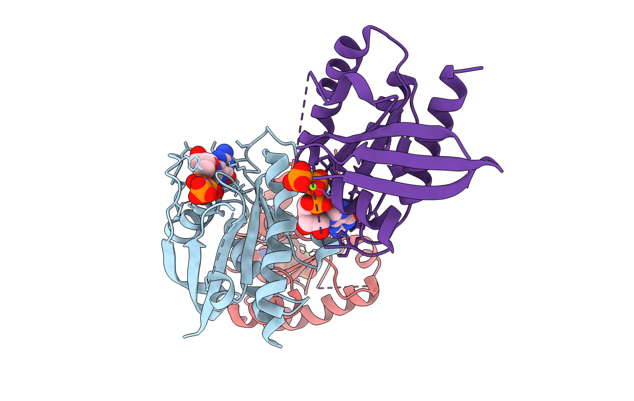 6VC8 image