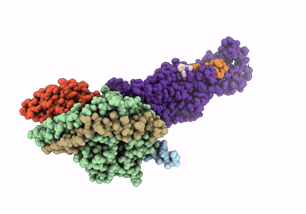 6VCB image