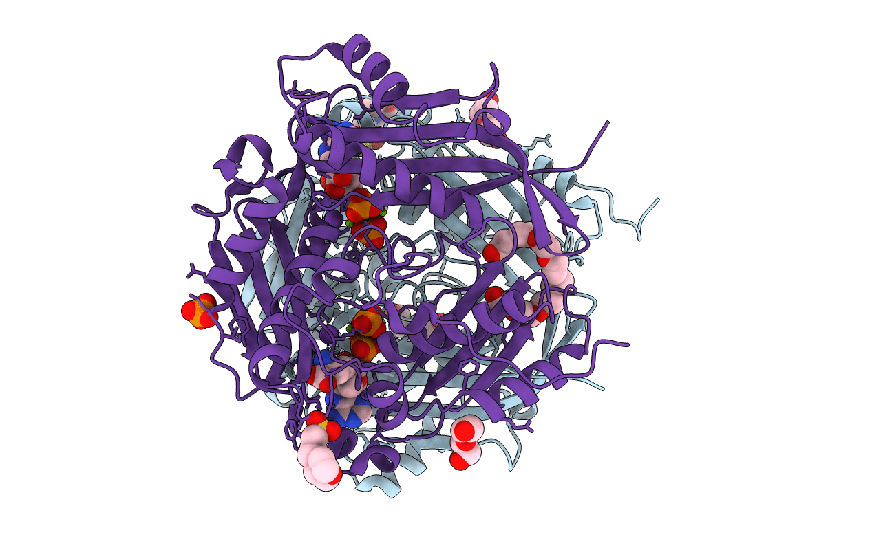 6VD2 image