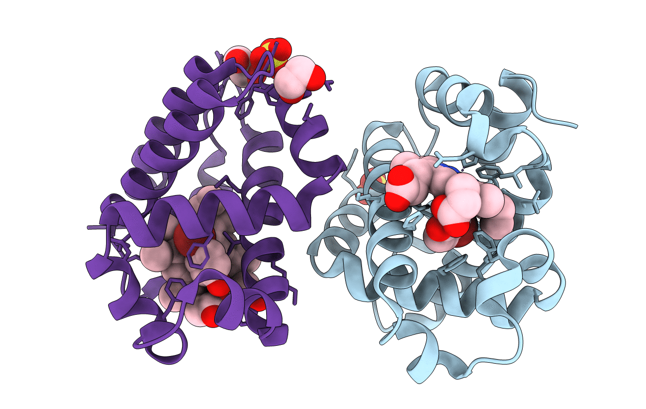 6VD3 image