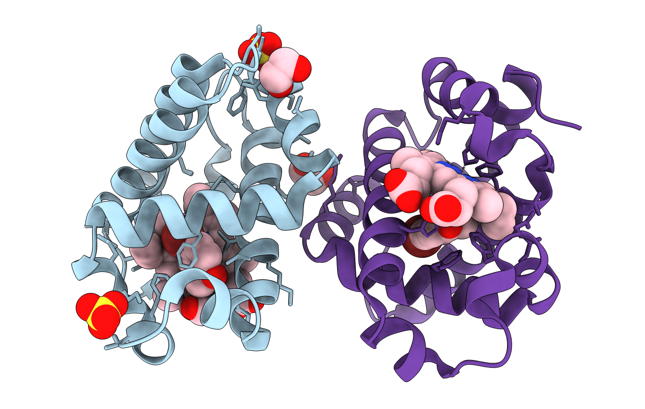 6VD4 image